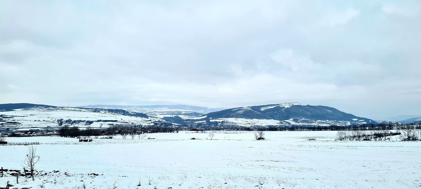 View in winter